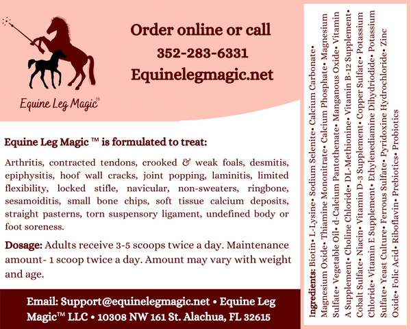 Equine Leg Magic™ Supplement